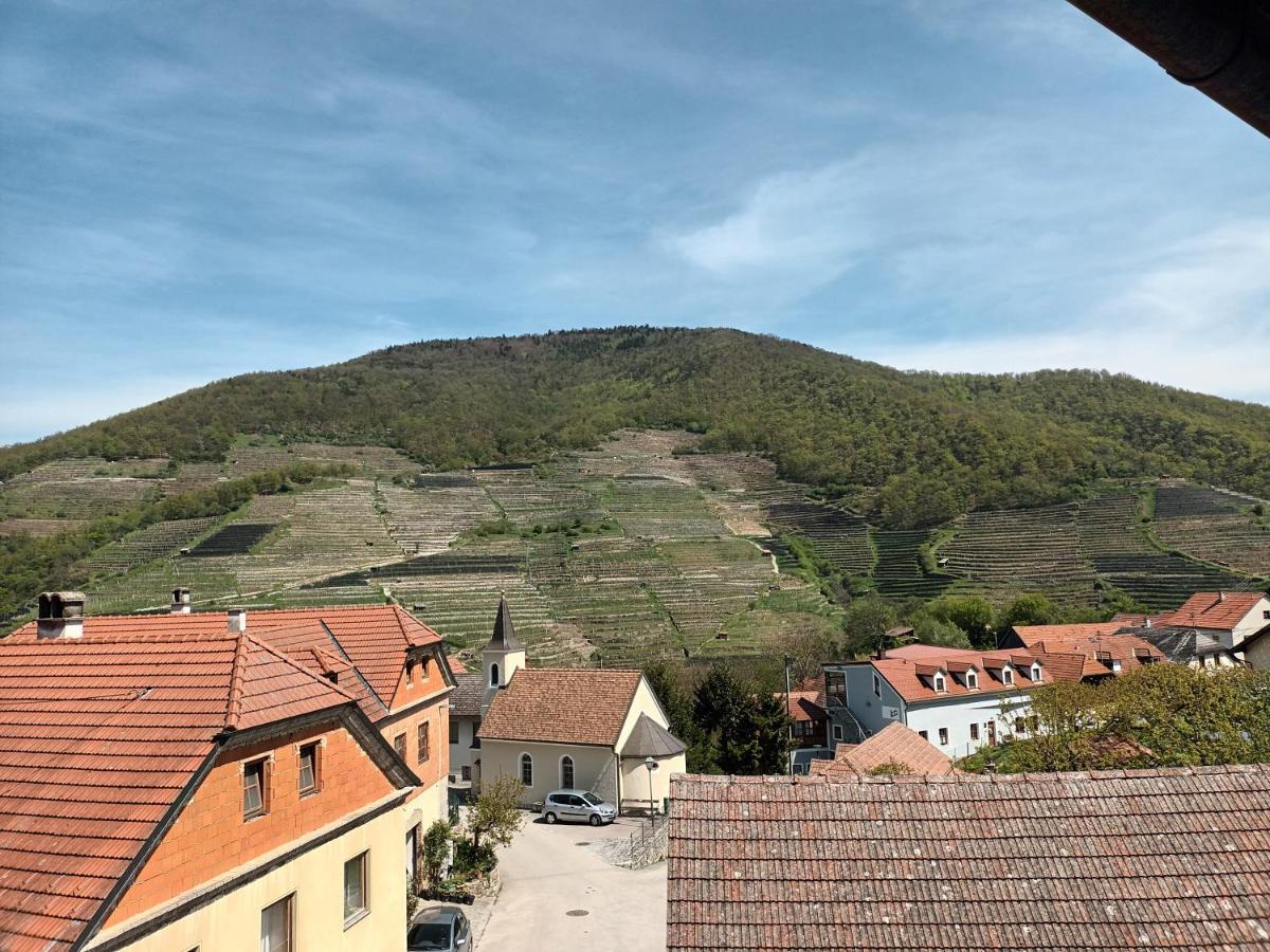 Gaestehaus-Pension Familie Dwars Spitz an der Donau المظهر الخارجي الصورة